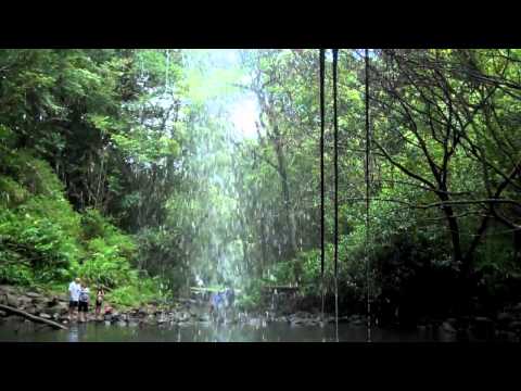 Twin Falls on Maui, Hawaii - August 2010