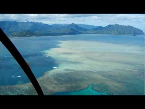 Hawaii Chopper Movie