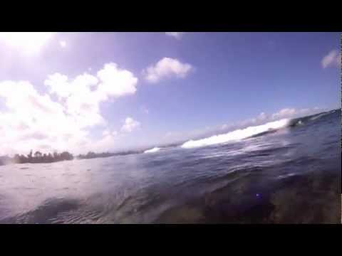 GoProHero | Hawaii | NY