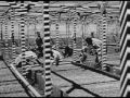 JapaneseAmericans.wmv