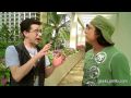 How to Travel in Hawaii