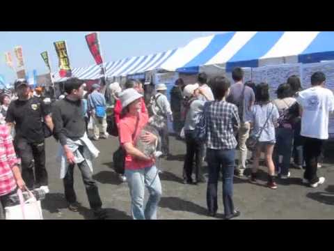 #CatTravels - Finding Hawaii in Chigasaki #CatTravels - Finding Hawaii in Chigasaki