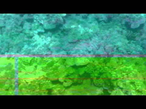Snorkeling in Mekna Surf, Maui, Hawaii