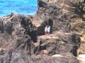 Hawaii