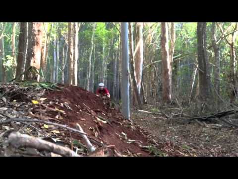 Makawao Forest with Maverick and Gregg Mayer Makawao Forest with Maverick and Gregg Mayer