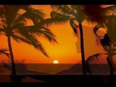 Hawaiian Sunset - 