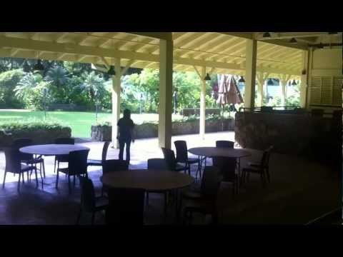 Hawaii Wedding Venue- Waimea Valley- Pikake Pavilion Hawaii Wedding Venue- Waimea Valley- Pikake Pavilion