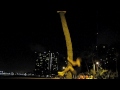European Palm climber in Hawaii. European Palm climber in Hawaii.