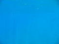 Snorkeling with Dolphins in Hawaii Snorkeling with Dolphins in Hawaii