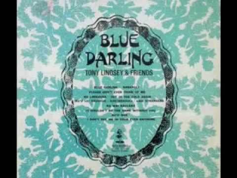 LIKE STRANGERS - Tony Lindsey & Friends