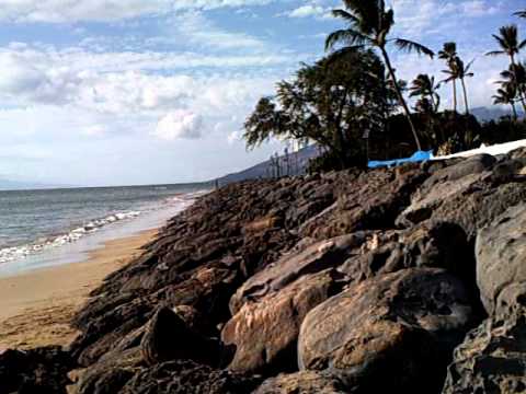 MAUI HAWAII KALAMA PARK BEACH
