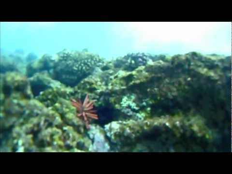 SPORTING-SAILS - Lost & Found GoPro Camera Surfing