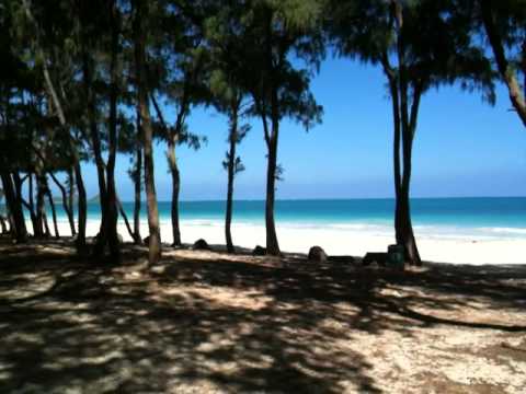 Bellows Beach