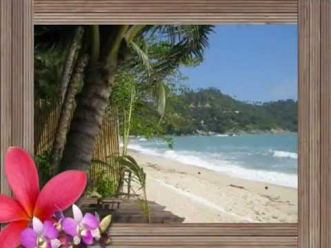 Tropical Holidays