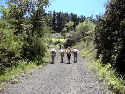 Waimea Valley Hike with Hawaiian Trail and Mountain Club