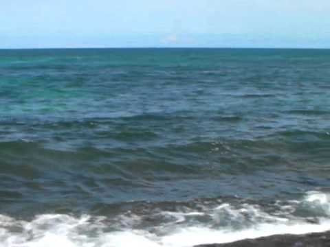 Laniakea Beach in Hawaii