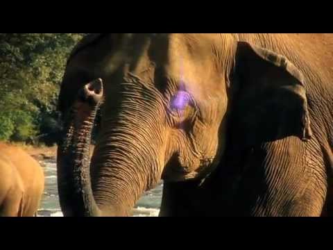 Sri Lanka - Secret-Garden-Of-Surfing-Holiday.mp4 Sri Lanka - Secret-Garden-Of-Surfing-Holiday.mp4