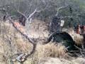 Maui Paintball hmow
