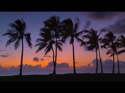 Relaxing in Hawaii 1