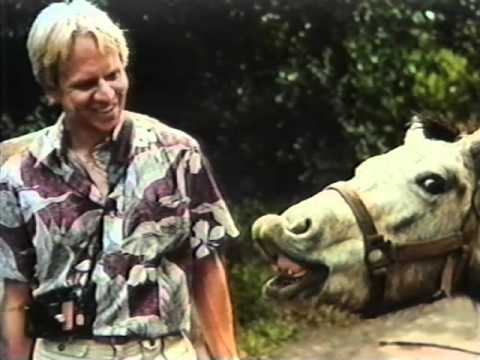 Wilbur's Hawaiian Adventure Wilbur's Hawaiian Adventure