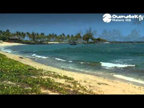 Nature Discover 3 : Hawaii Beaches Oumalek Mohamed Records Nature Discover 3 : Hawaii Beaches Oumalek Mohamed Records