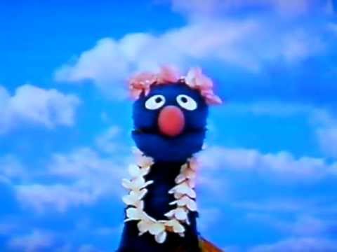 Sesame Street Global Grover - Hawaii