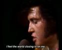 Elvis Presley - What Now My Love Elvis Presley - What Now My Love