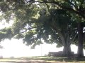 NEAR SETAGAYA good by HAWAII