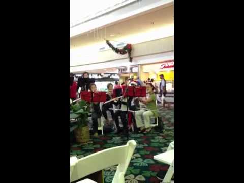 Hawaii flute society