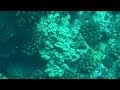 Hawaii - Maui - Day 2