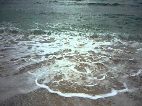 Hawaii Waves