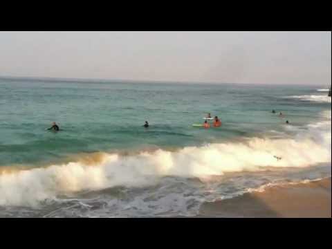 Surf Hawaii Beach La'Aloa Surf Hawaii Beach La'Aloa