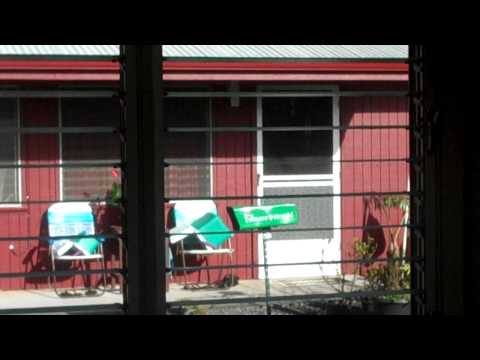more county of hawaii senior babuse``