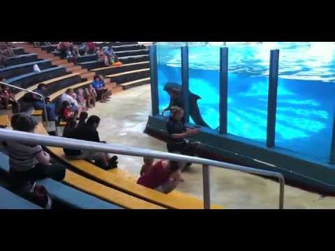 Sea Life Park Hawaii - A Fun Filled Oahu Activity