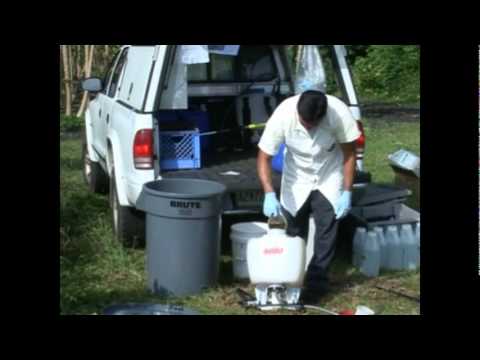 Fruit Fly Control Hawaii 2of3.mpg Fruit Fly Control Hawaii 2of3.mpg