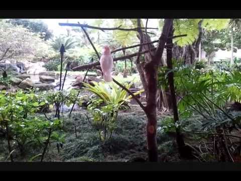 Lihue Hawaii