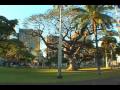 # 102 - Iolani Palace Honolulu Hawaii 102.wmv
