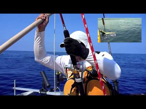 Kayak Fishing Hawaii - One Out of the Mahi School Kayak Fishing Hawaii - One Out of the Mahi School