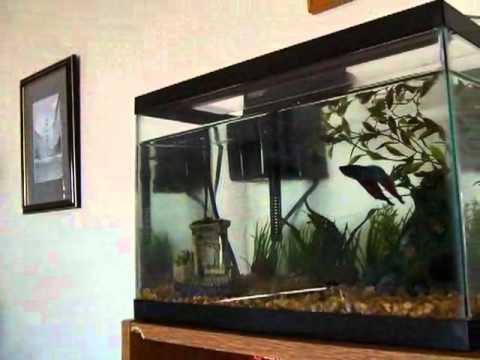 Real estate for sale in Cluj Hawaii - 34354