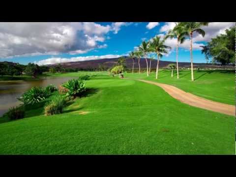 Wedding iQ Network Takes You To Hawaii