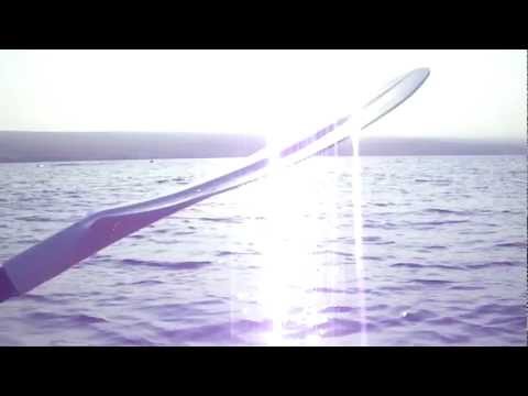whale 2.AVI