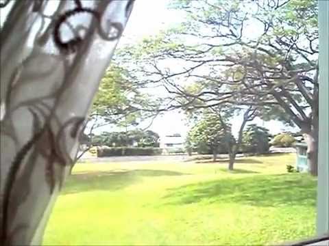 A day in Hawaii Vlog: Nephews+Funny Dancing+ Wrestling?!?