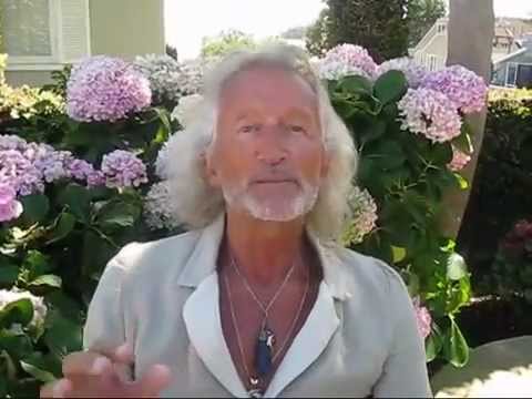 'One Heart One Mind' Dolphin Retreat with Celebrity Co-Host