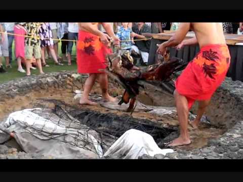 My 2011 Hawaii Vacation PART 2