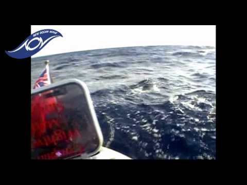 New Ocean Wave - Pacific Rowing Race introduction