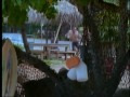 Pacific Blue-S5E3-Hawaii part I- part 5/5 Pacific Blue-S5E3-Hawaii part I- part 5/5