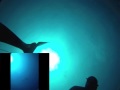 kettle bell diving .m4v