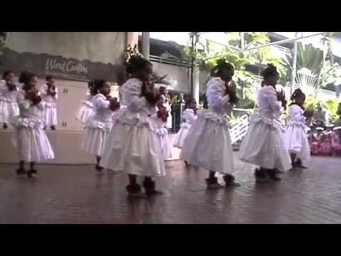 Nani Blossom Hula