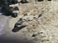 Epic Fail Backflip Epic Fail Backflip