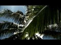 Red Bull Cliff Diving World Series 2010 - Story Clip Hawaii